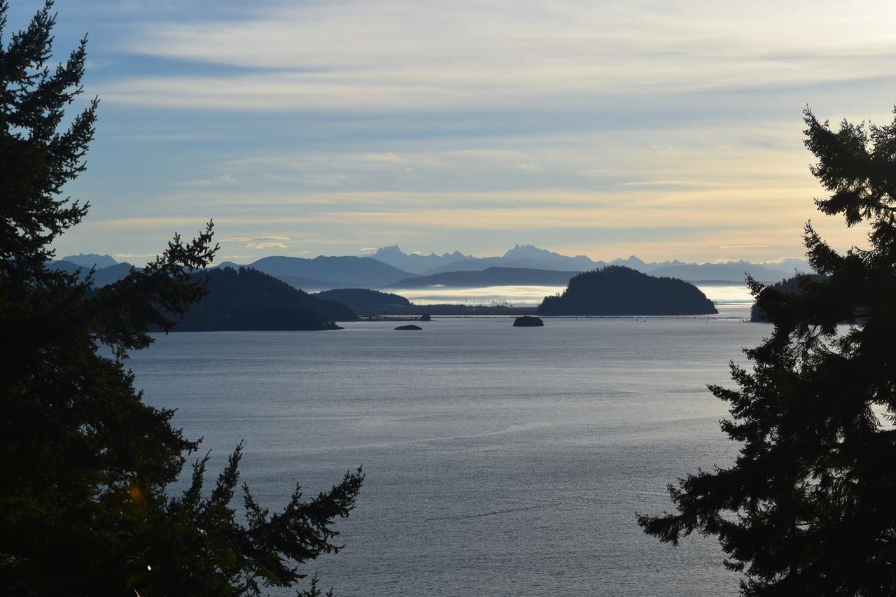 The Bluff On Whidbey Bed & Breakfast Oak Harbor Dış mekan fotoğraf